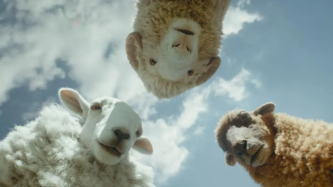Flock of sheep detectives in The Sheep Detectives comedy on Prime Video